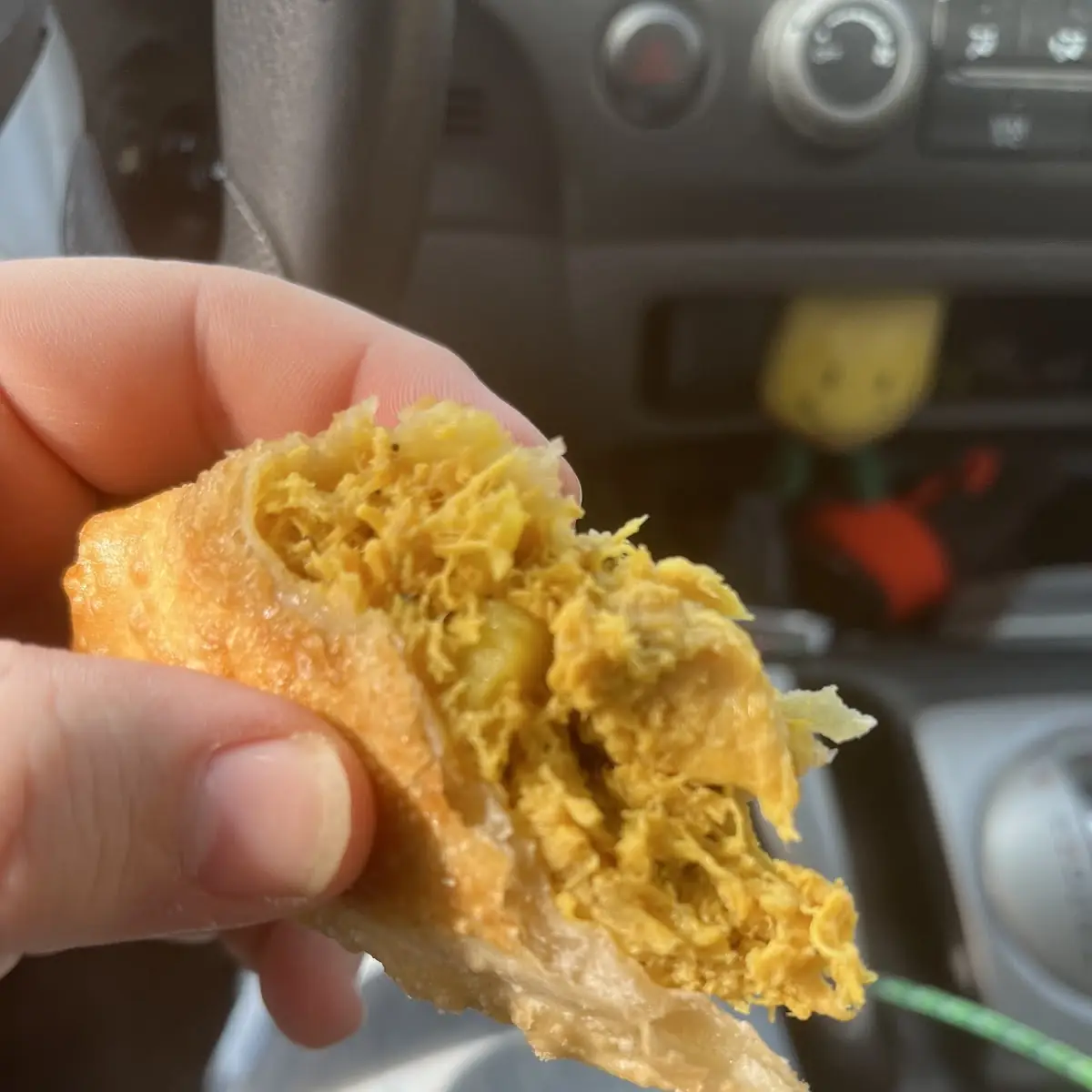Chicken Empanadas