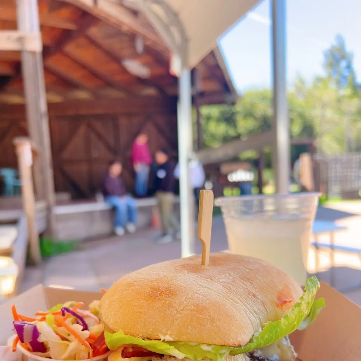 Apricot Jam Burger