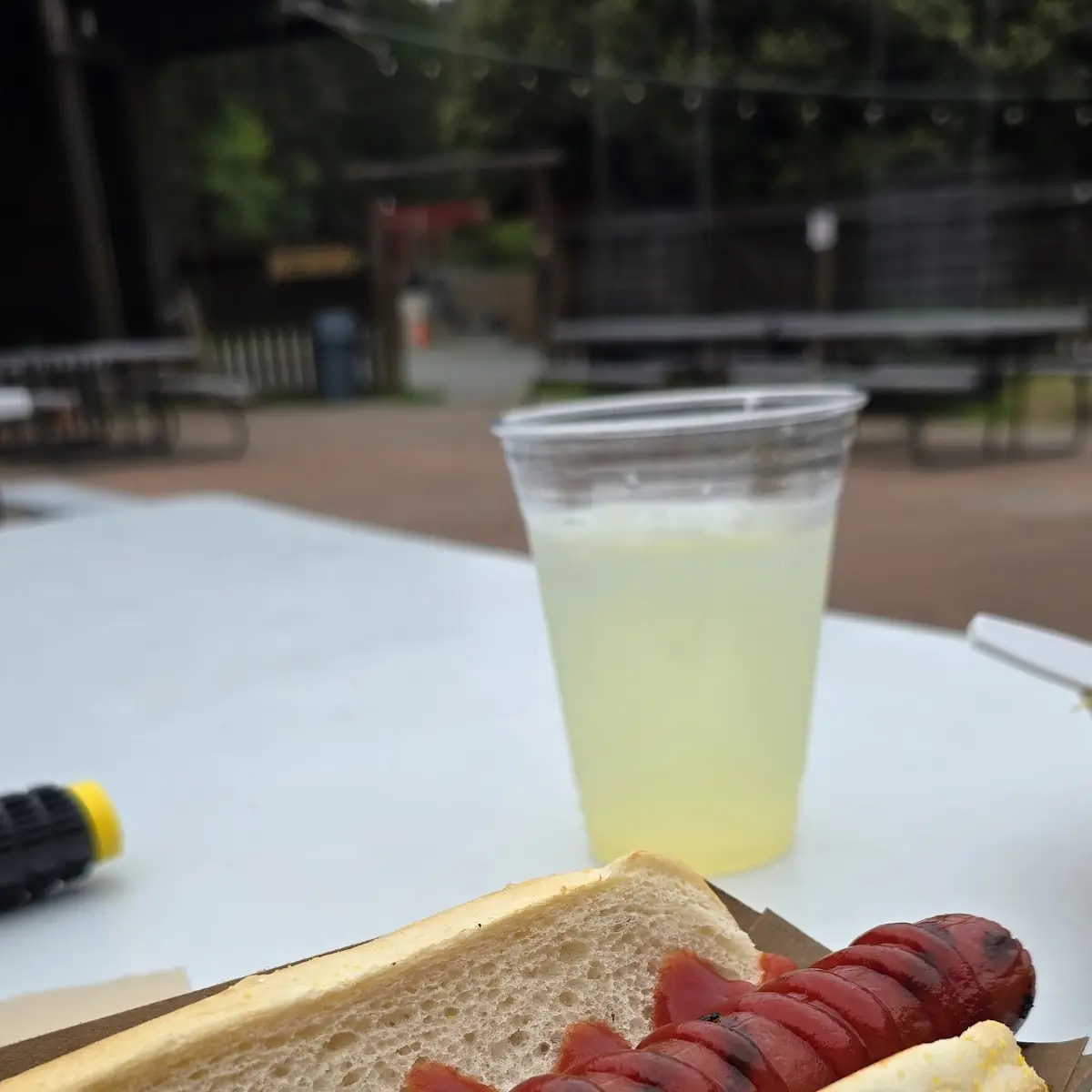 Hot Dog