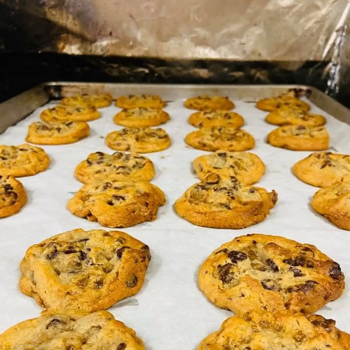 Chocolate Chip Cookies