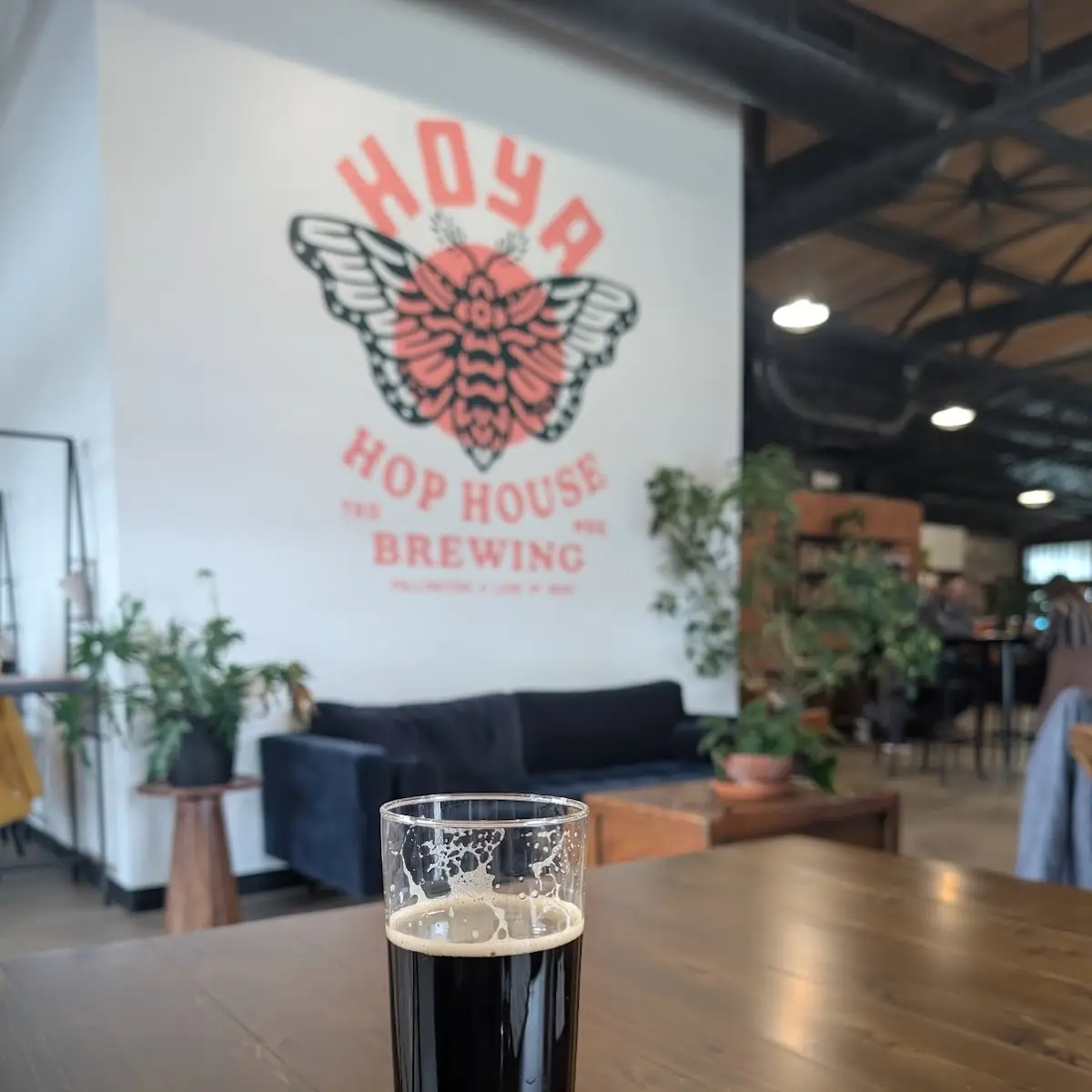 Cold Brew