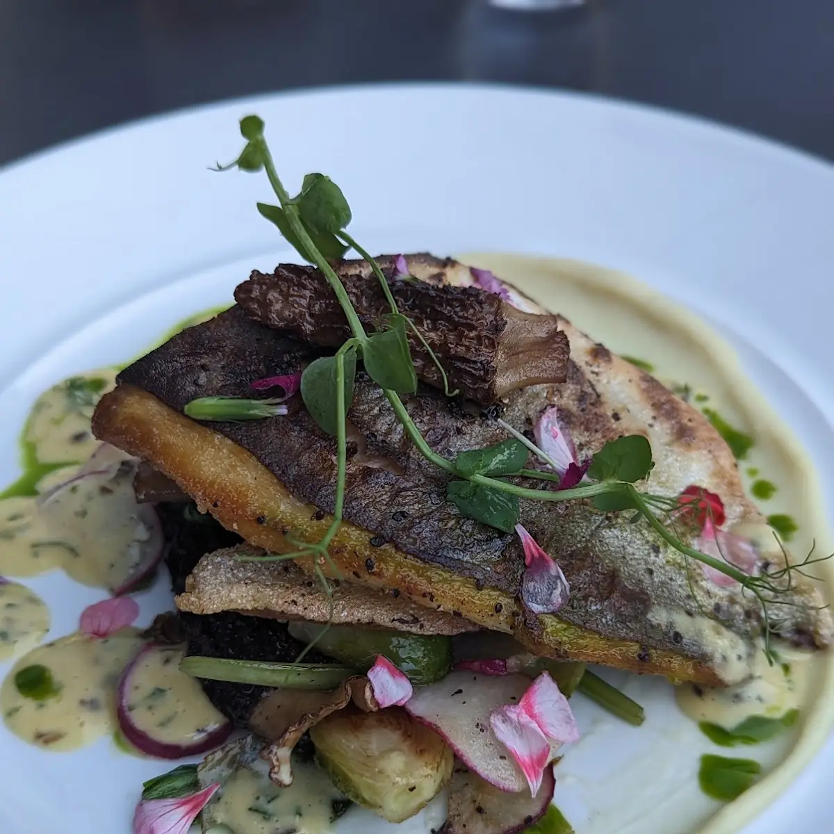 Seared Black Sea Bass