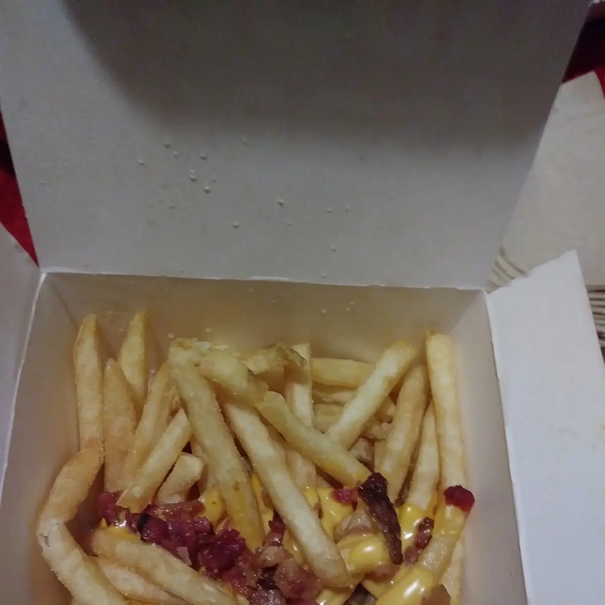 World Famous Fries