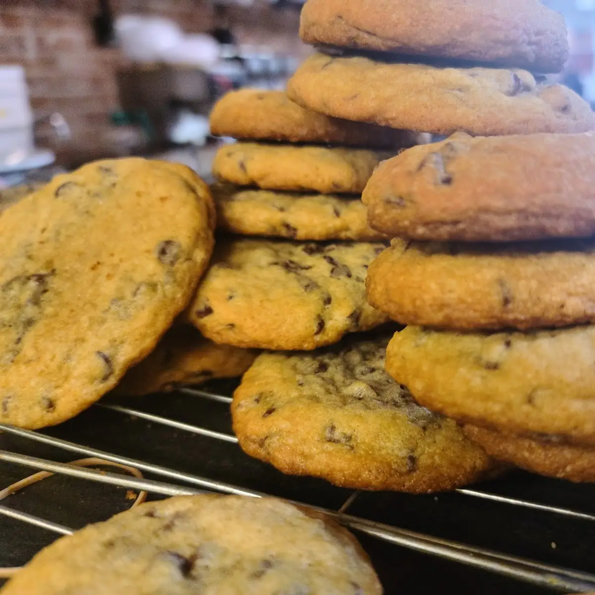Chocolate Chip Cookie