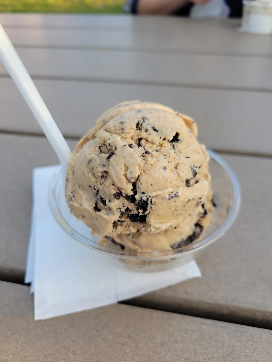 Chocolate Chip Cookie Dough
