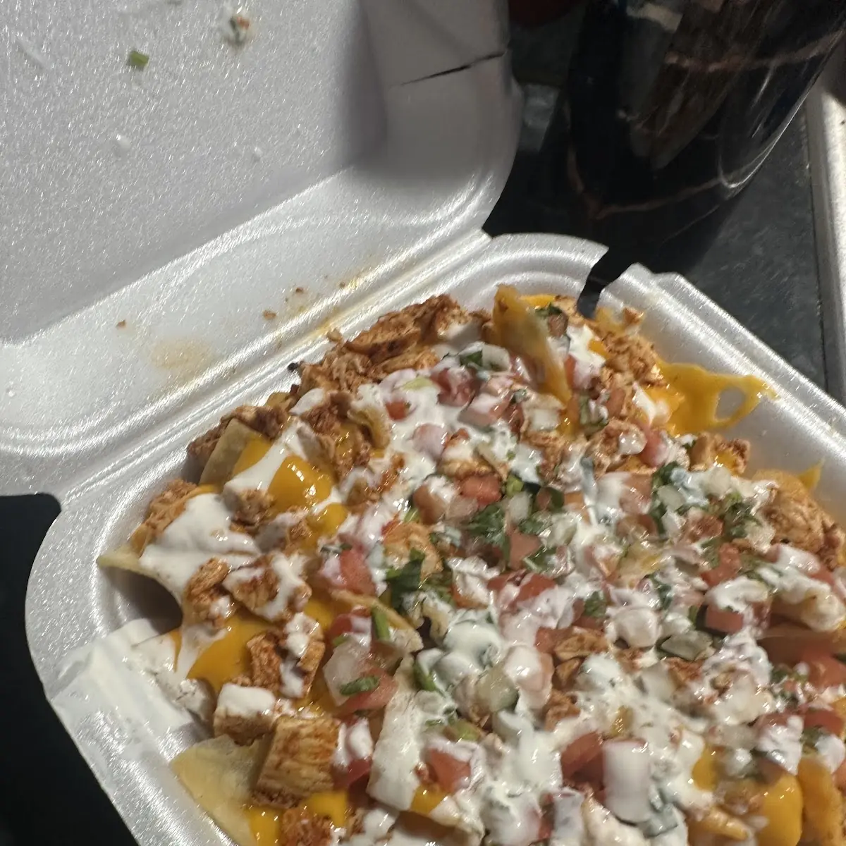 Carne Asada Fries