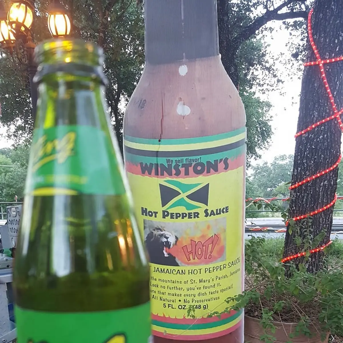 Jamaican Ting Ginger Beer