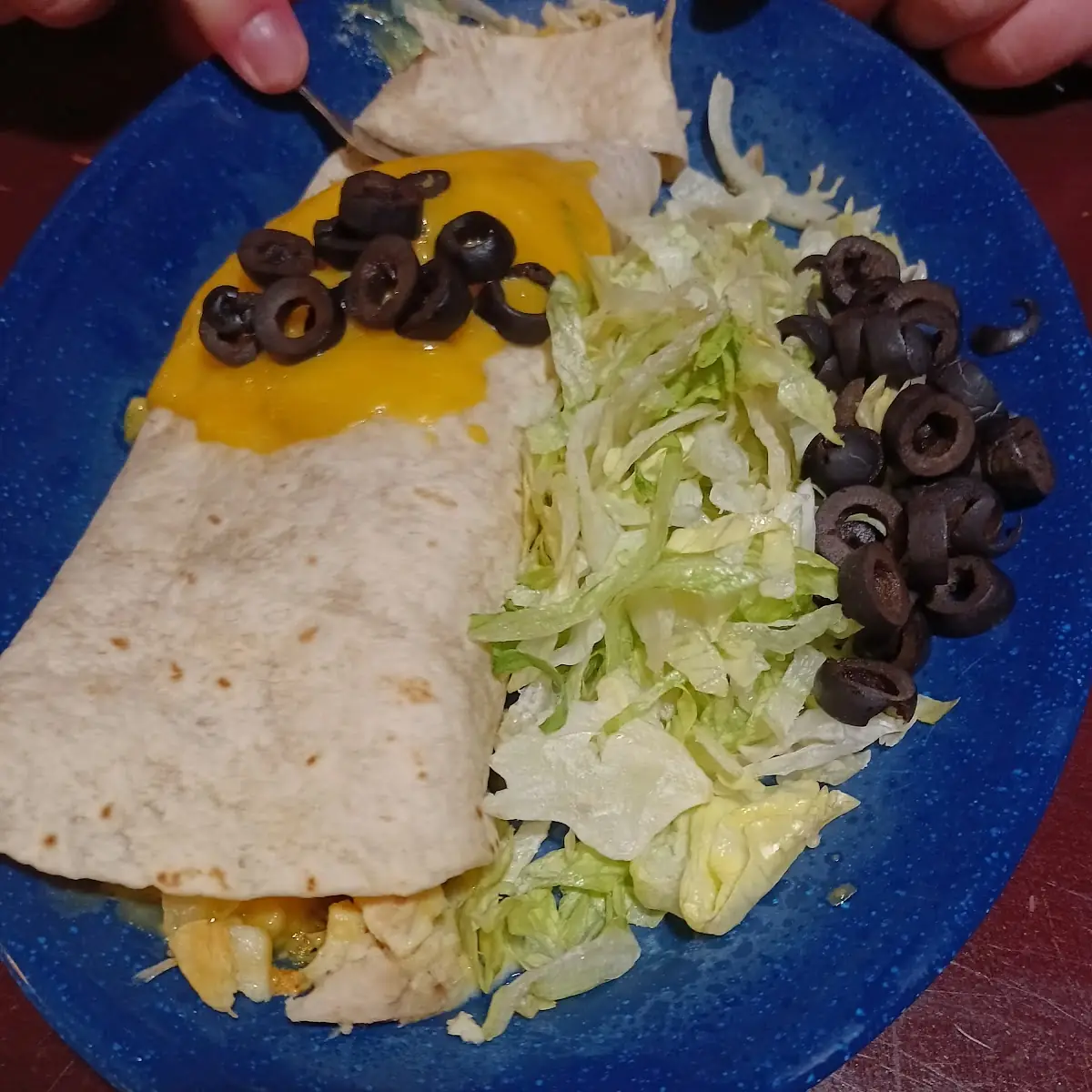 Chicken Burrito