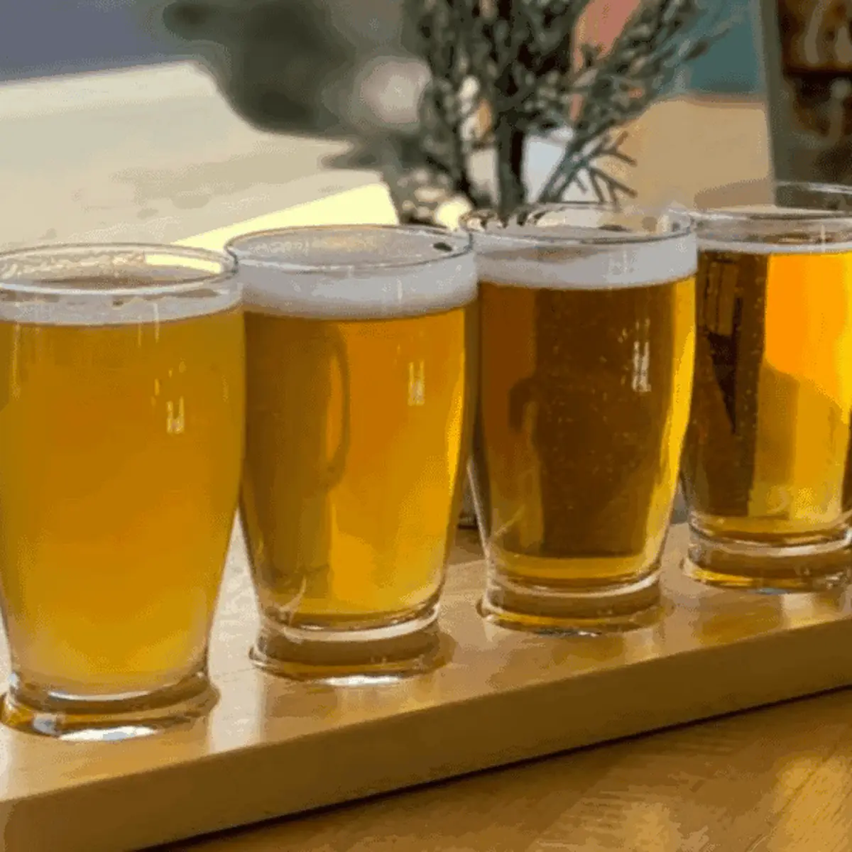 Rebel Beer Flight