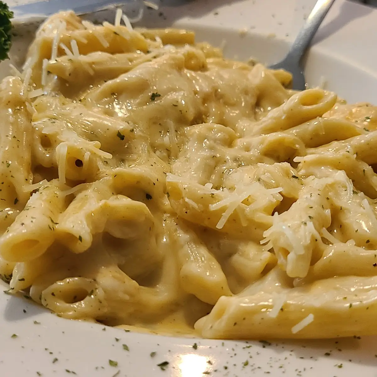 Chicken Alfredo