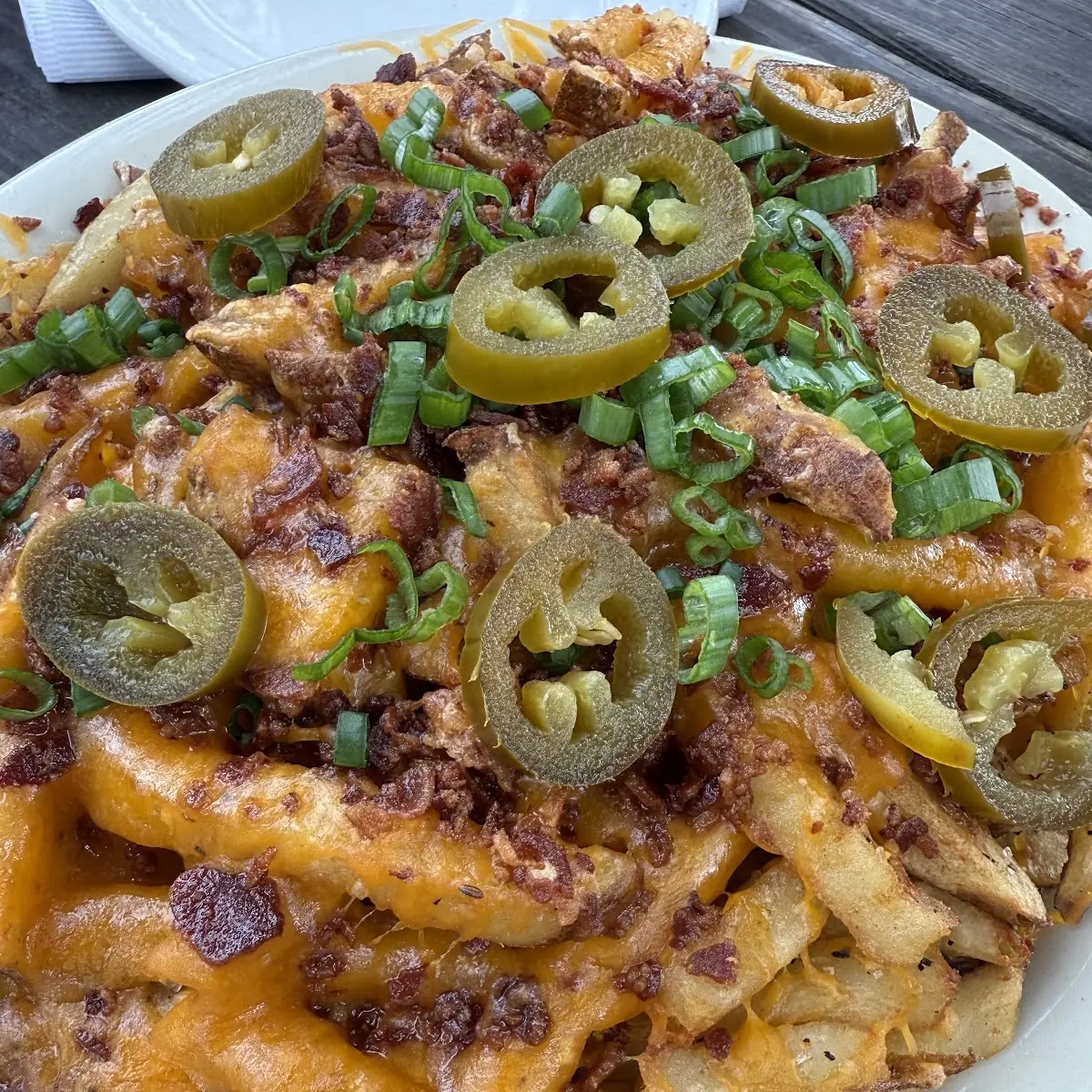 Loaded Fries