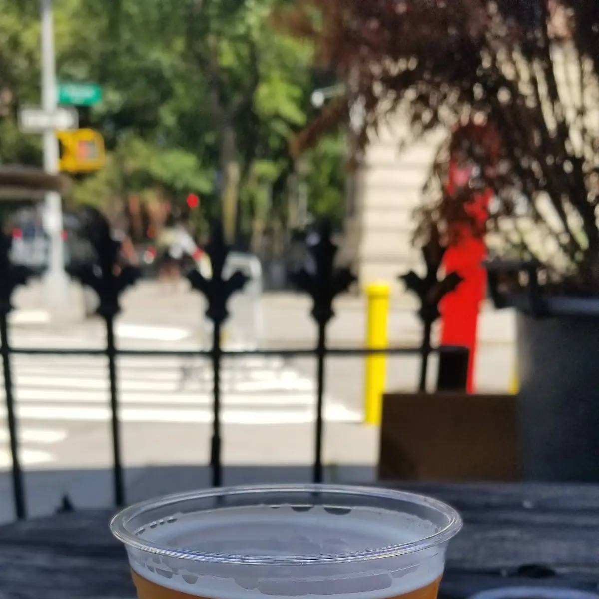 Hazy IPA