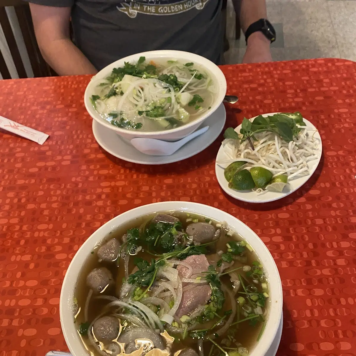 Veggie and Beef Pho