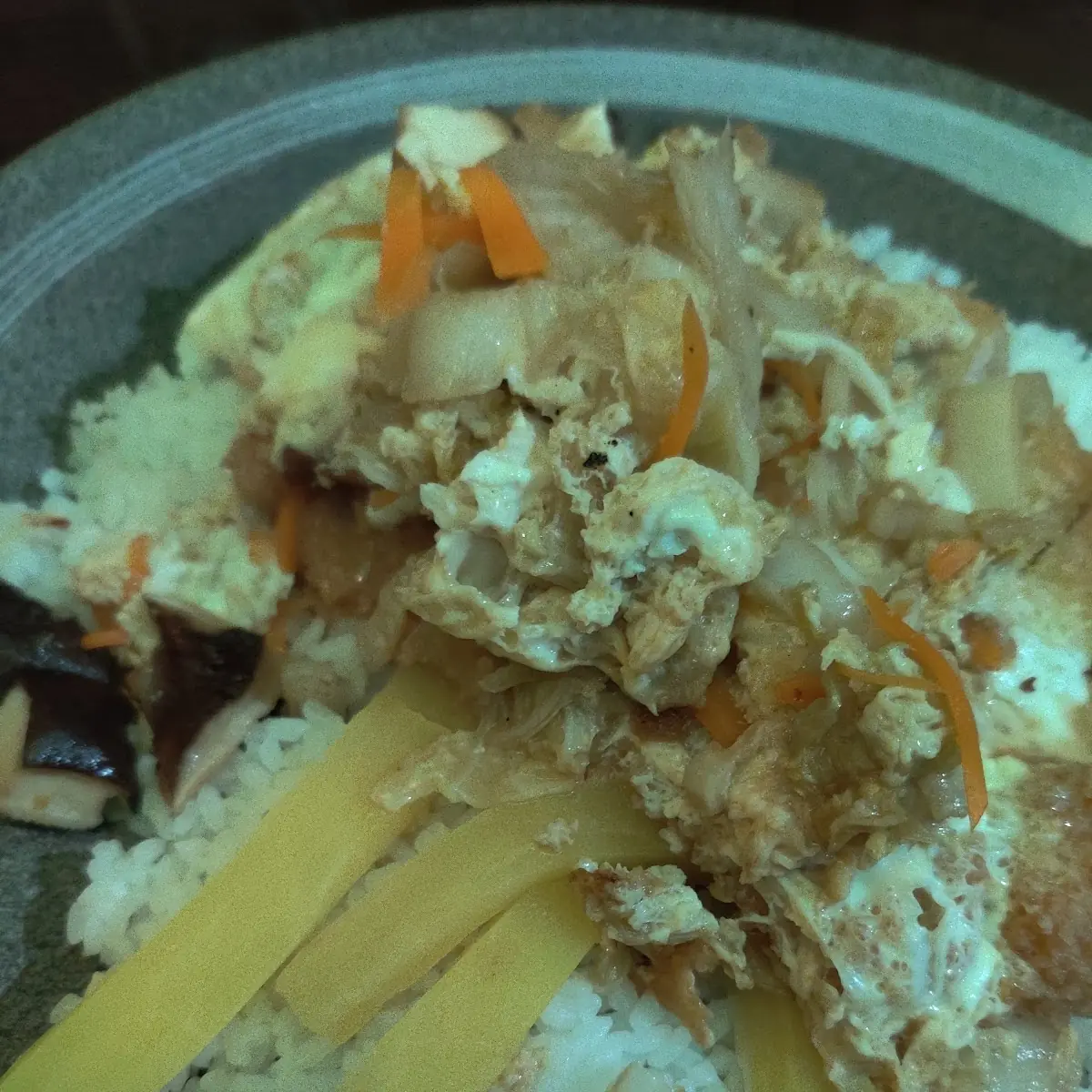 Katsu Don