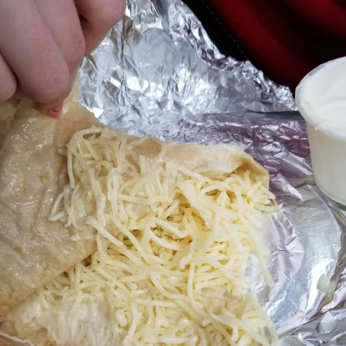 Cheese Quesadilla