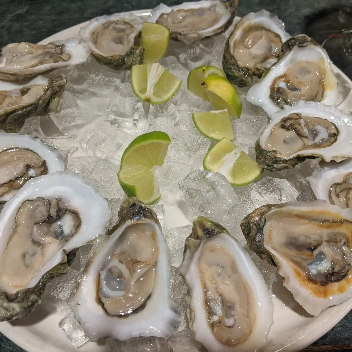 Oysters