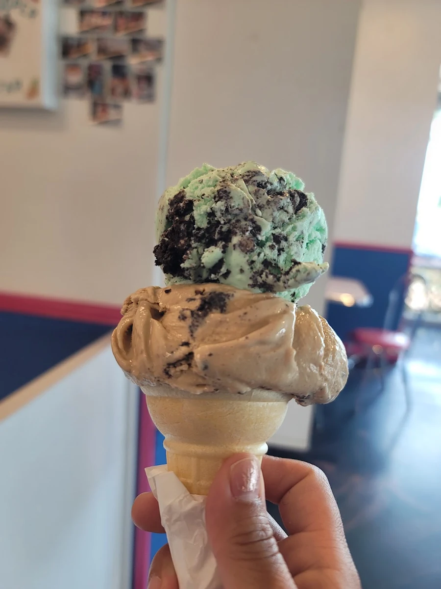 Mint Chocolate Chip