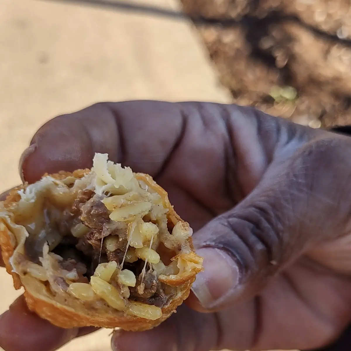 Egg Rolls