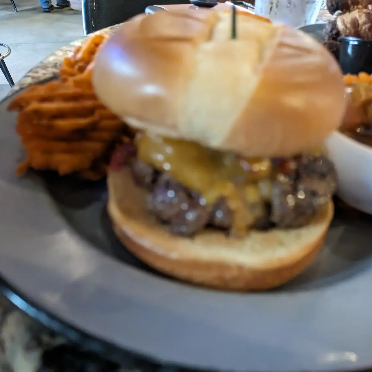 Bison Burger