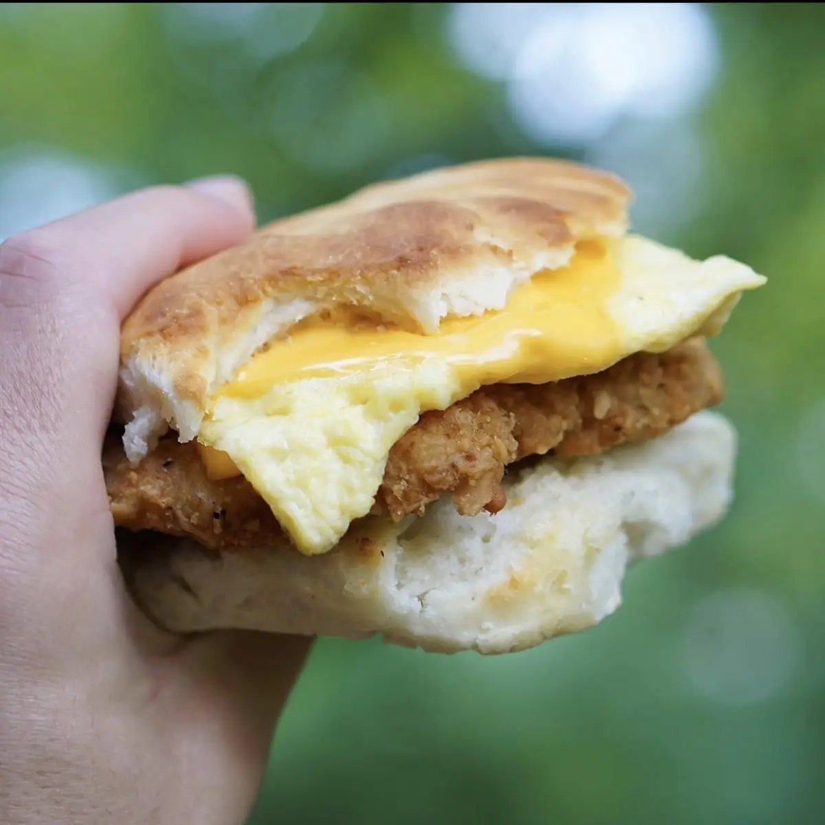 Sausage Egg & Cheese