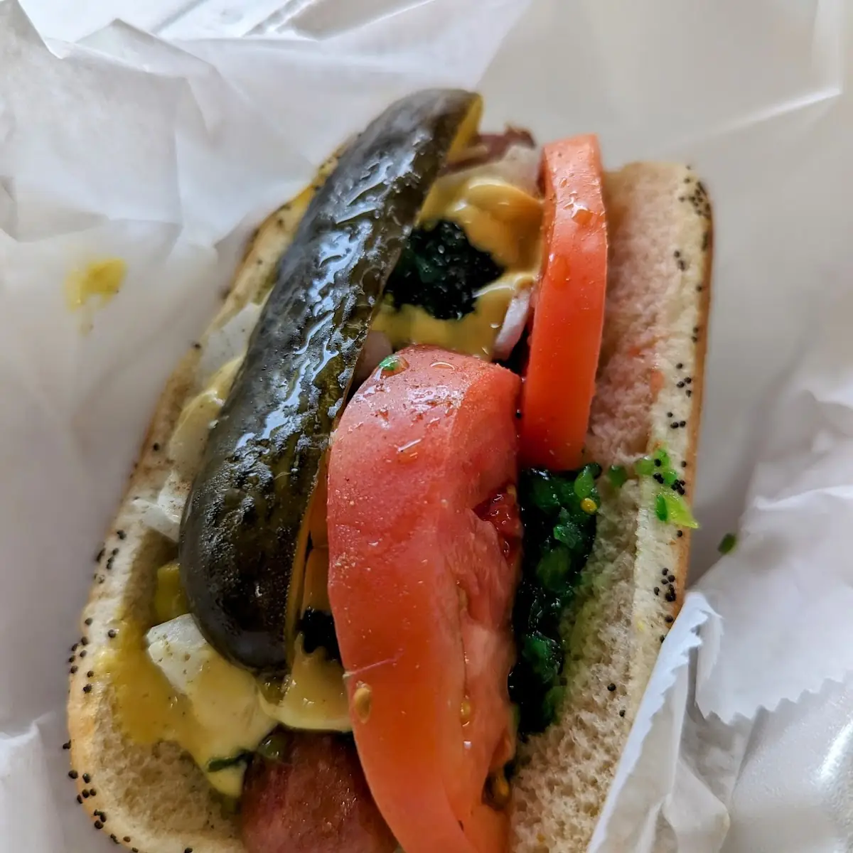 Chicago Style Hot Dog