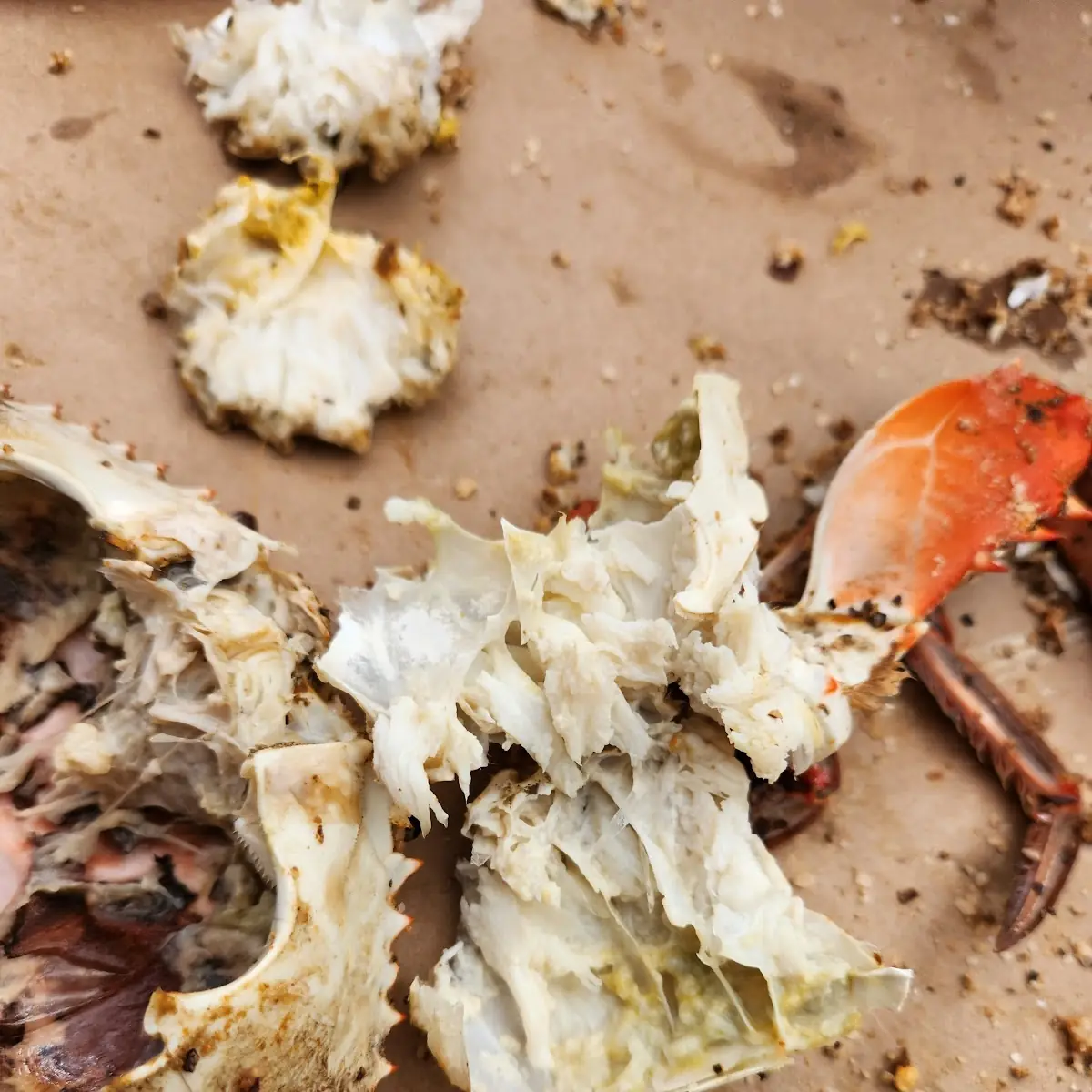 Raw Jumbo Soft Shell Crab MD NC