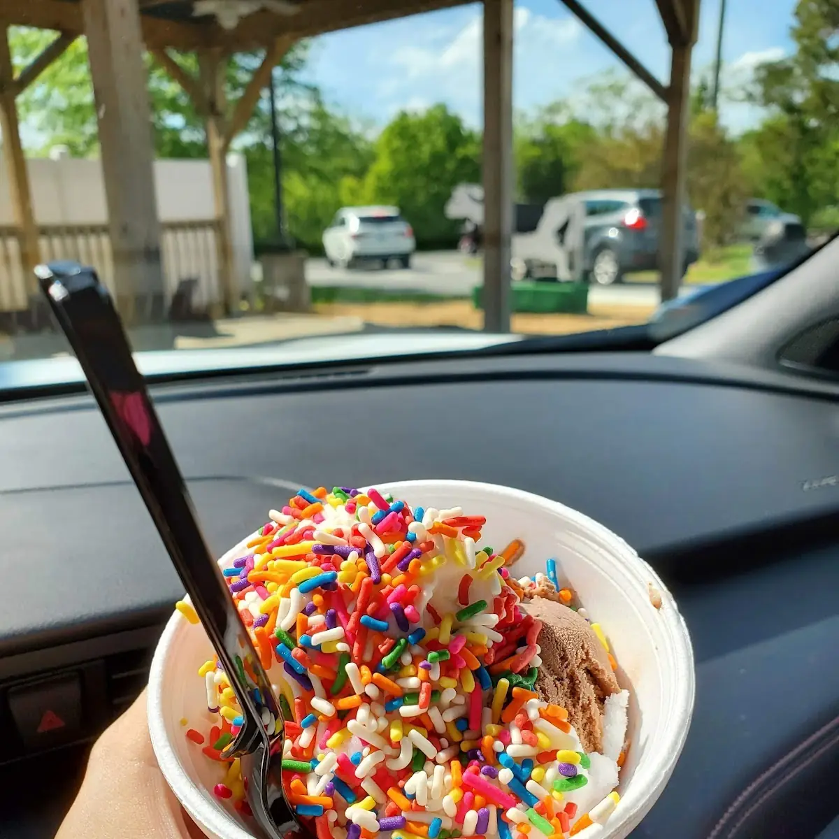 Chocolate Ice Cream