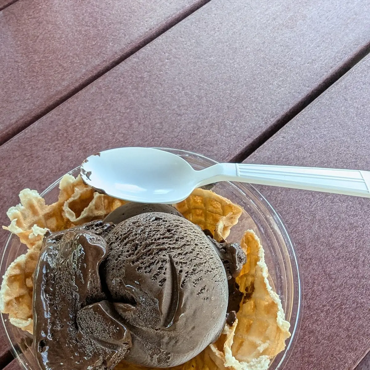 Two Scoops Dark Chocolate in a Waffle Cup