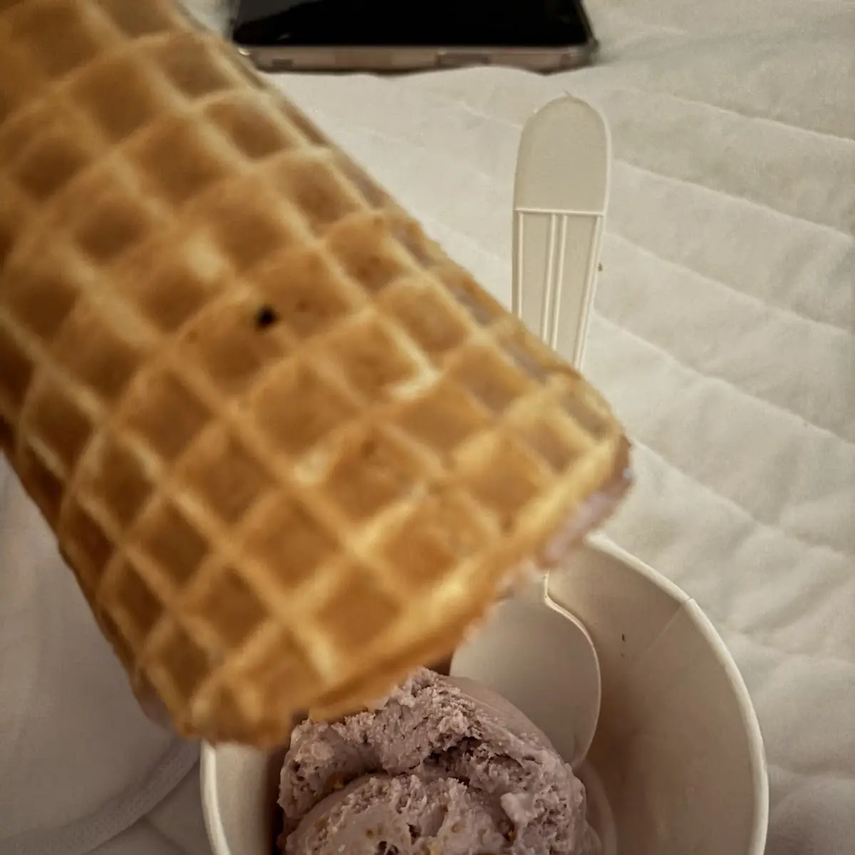 Waffle Cone or Bowl