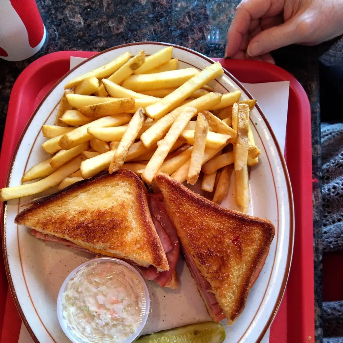 Grilled Ham & Cheese with Fries