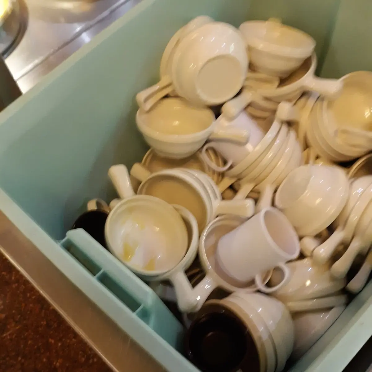 Steamed Clams