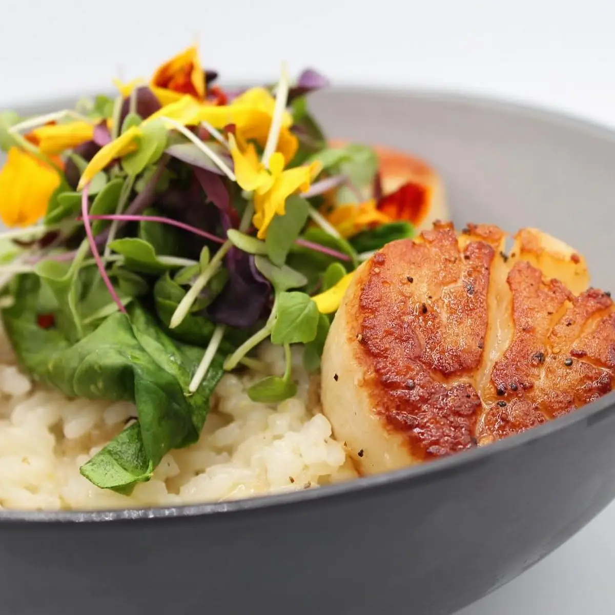 Brown Butter Scallop Risotto