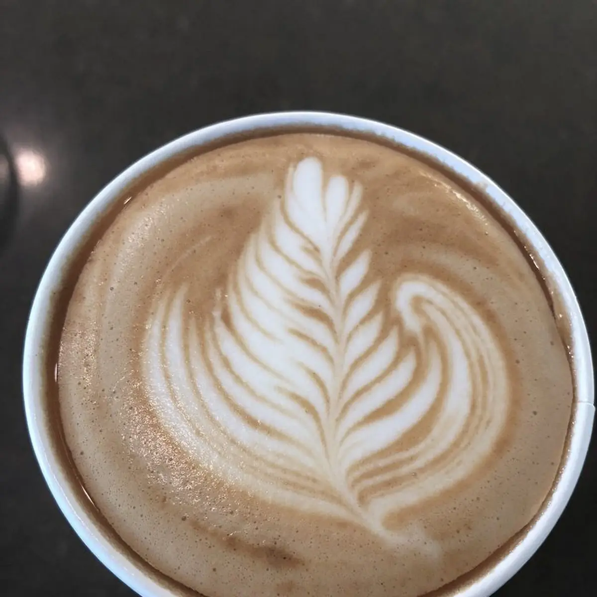 Chippuccino Espresso Milk Foam Carob