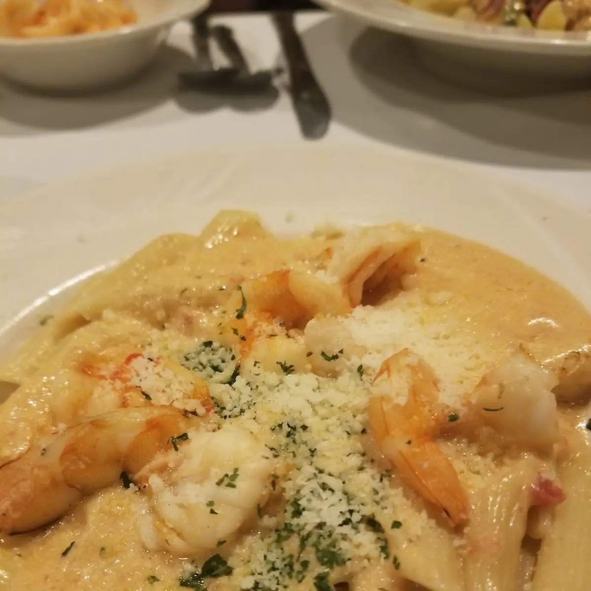 Penne Pasta in Vodka Cream Sauce