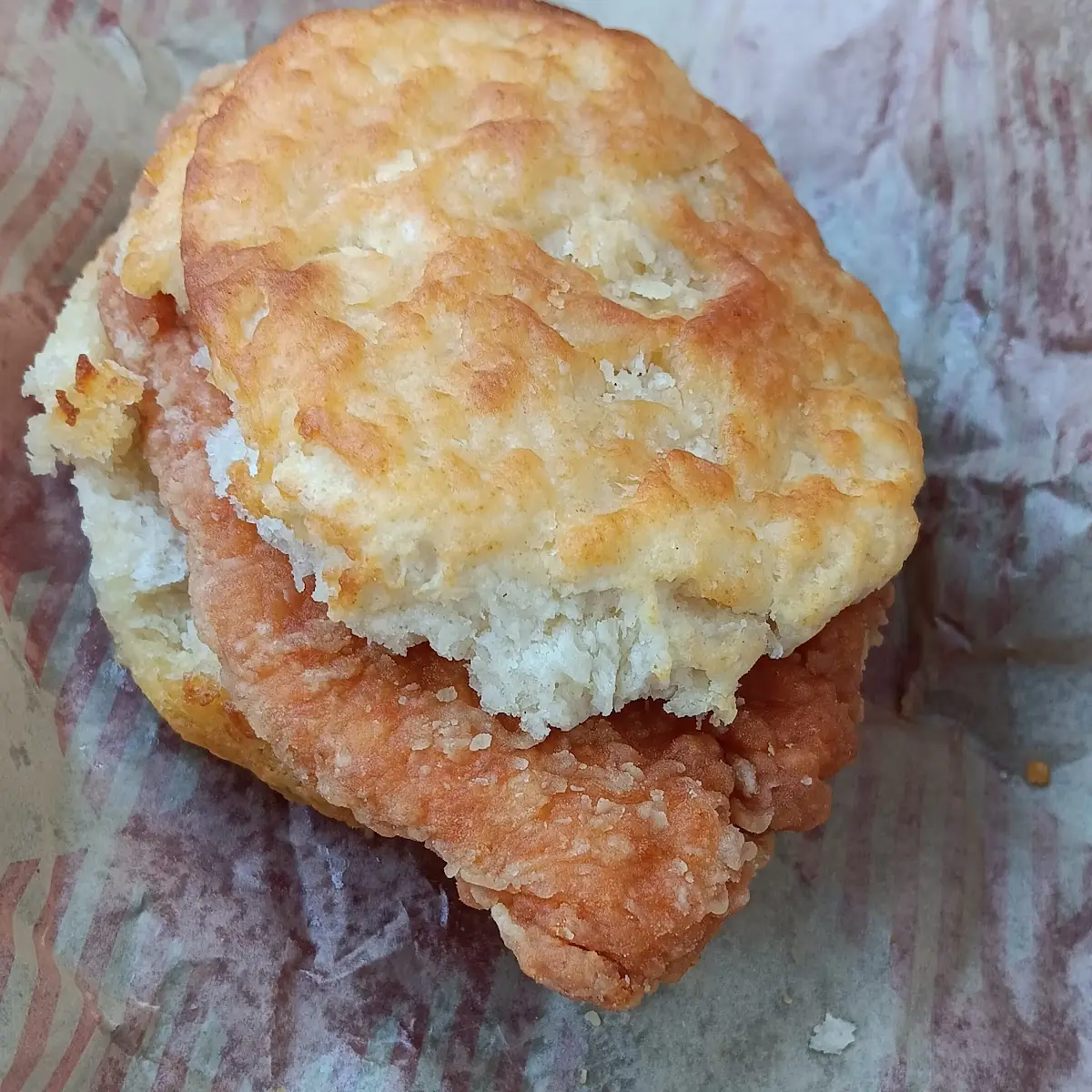 Chicken Biscuit