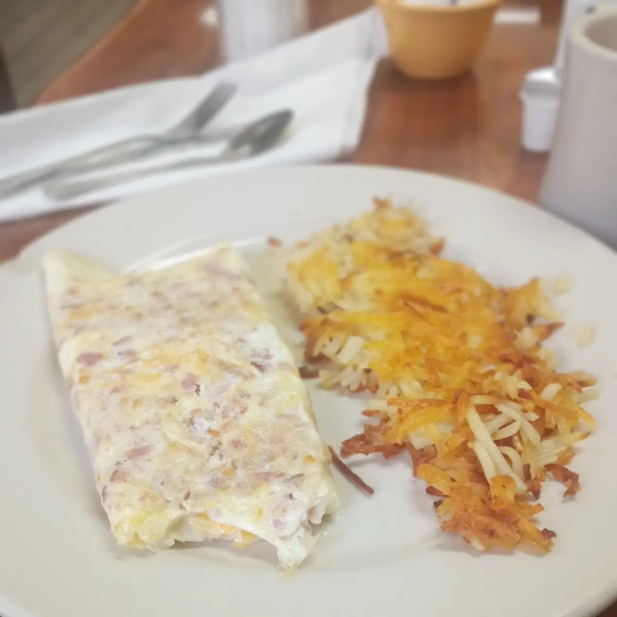Ham and American Cheese Omelette