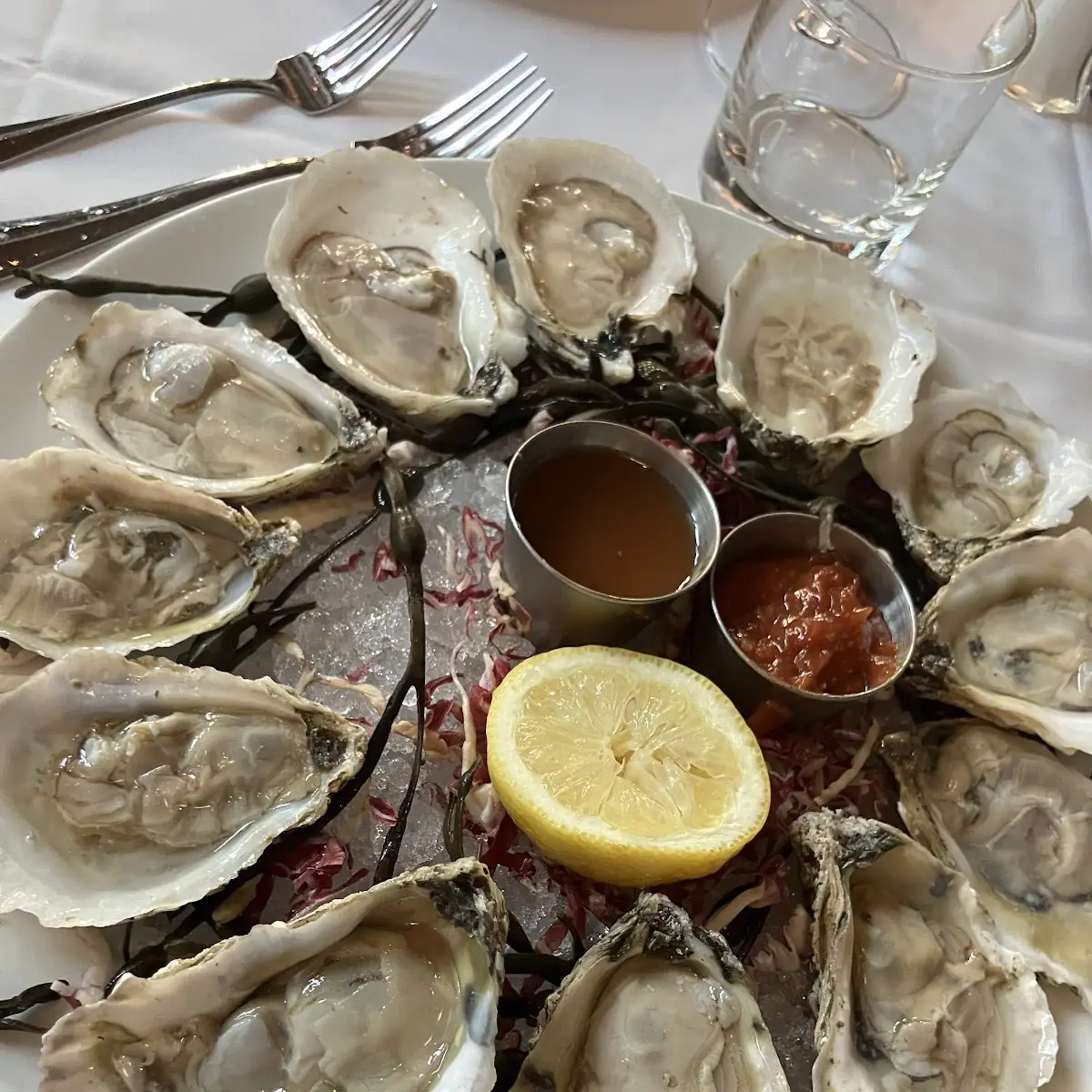 Dozen Oysters