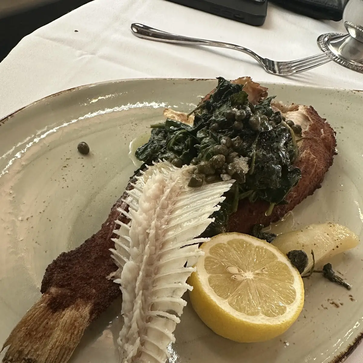 Sea Bass