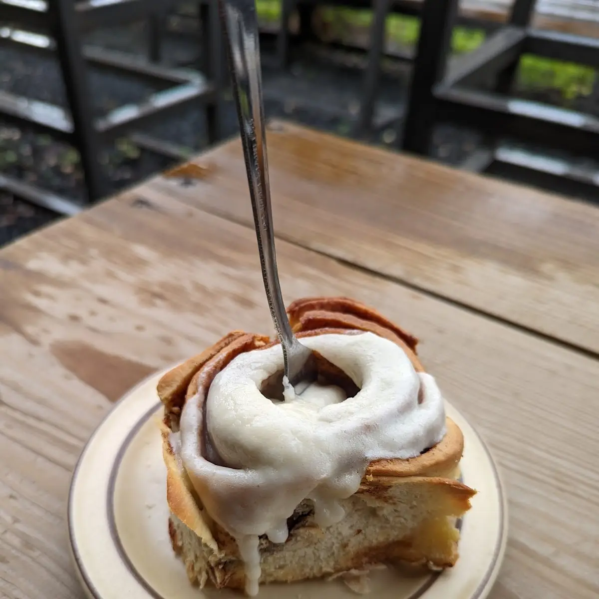 Cinnamon Rolls