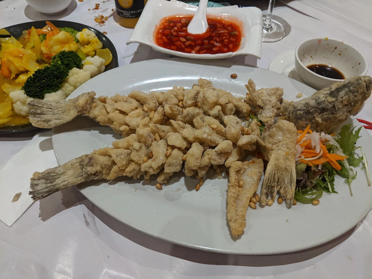 Deep Fried Barramundi, Golden Ocean Seafood BBQ Chinese restaurant