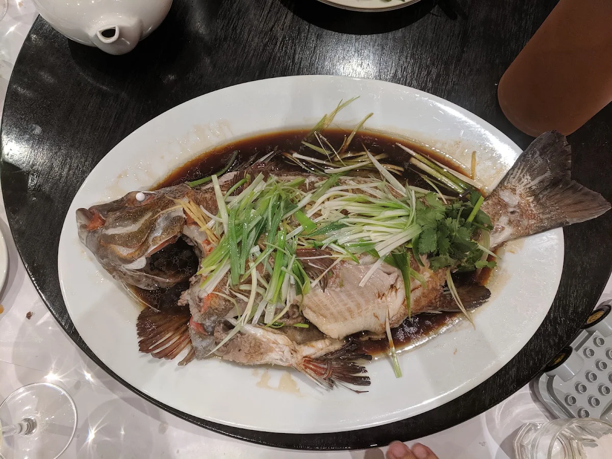 Highlights, Golden Ocean Seafood BBQ Chinese restaurant