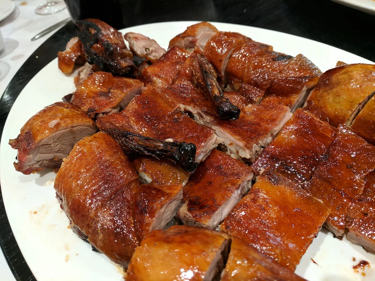 Pipa Duck, Golden Ocean Seafood BBQ Chinese restaurant