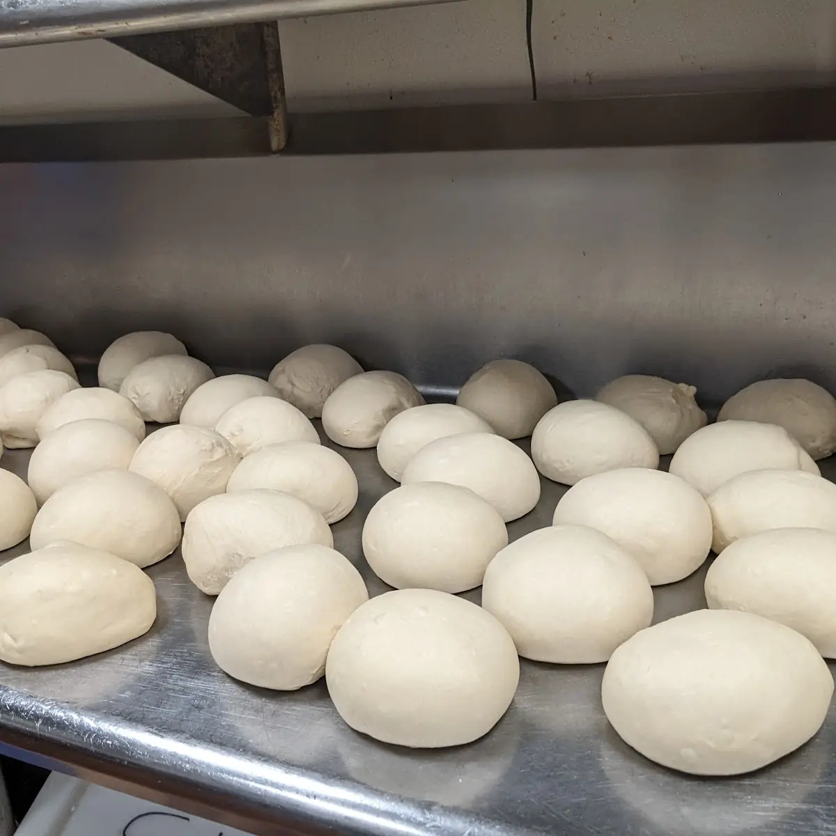 Pizza Dough