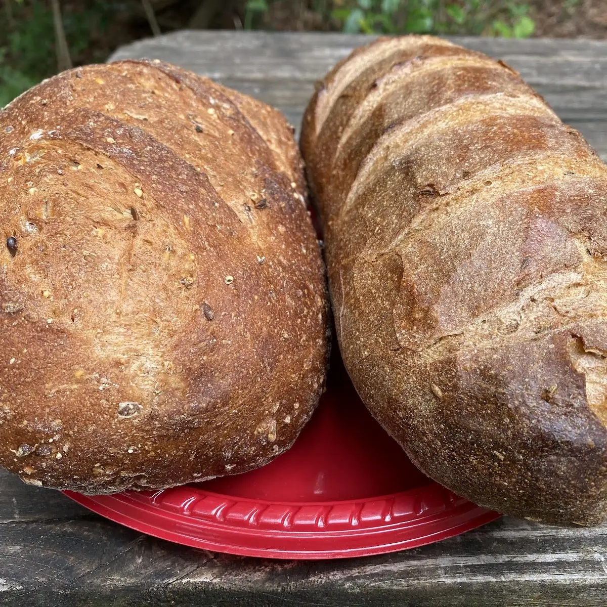 Sourdough