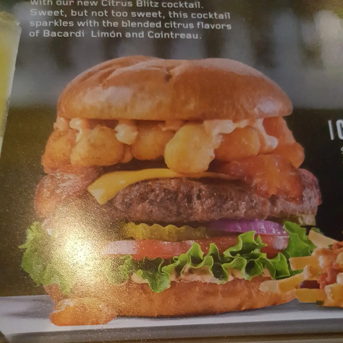 Cheese Curd Bacon Burger
