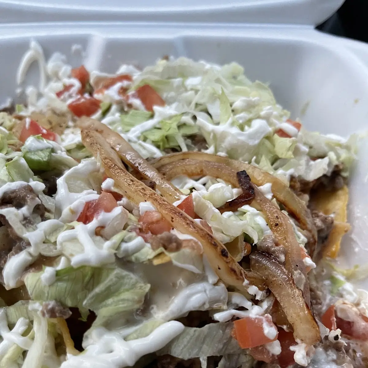 Carne Asada Fries