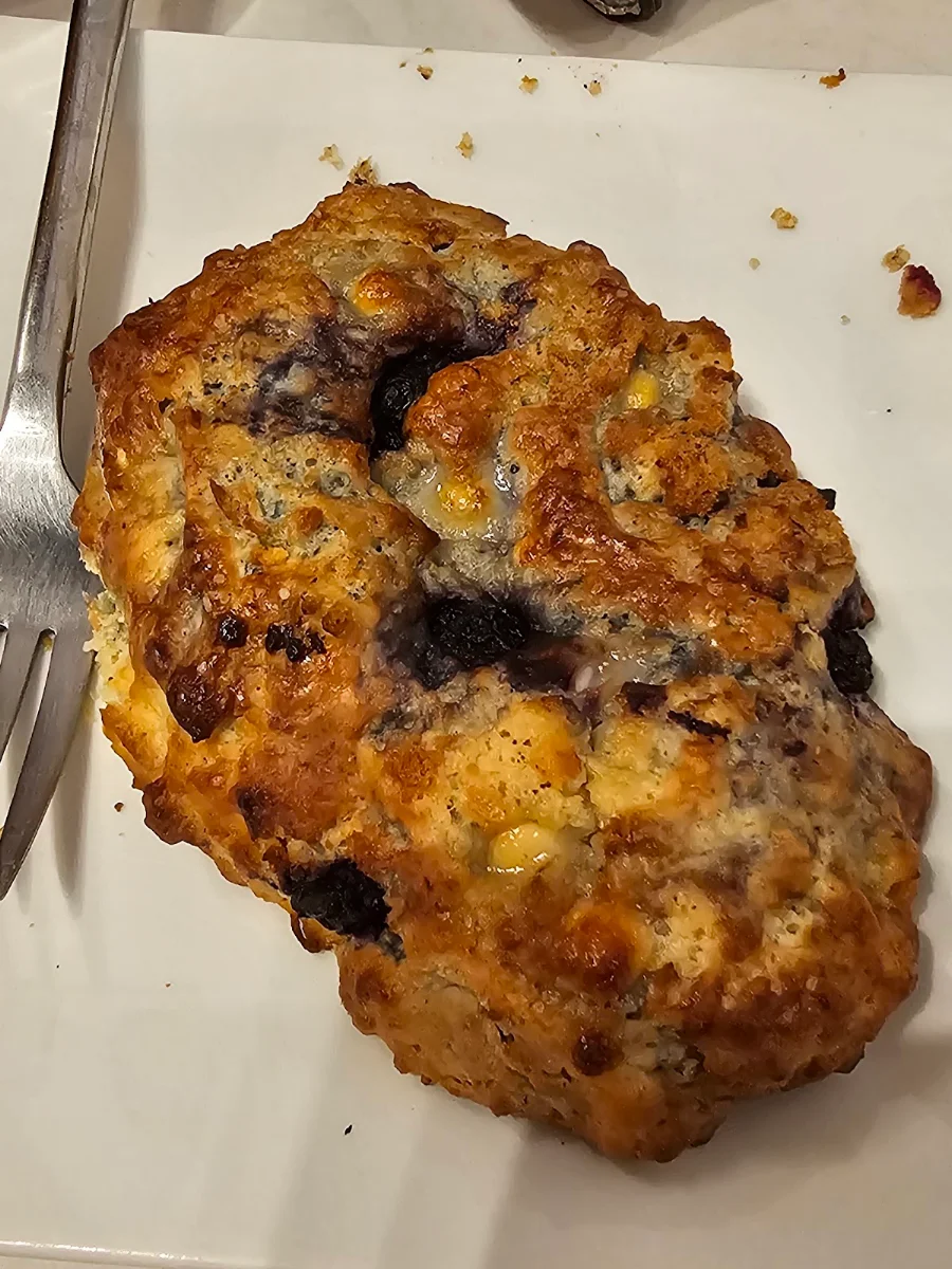 Blueberry Muffin