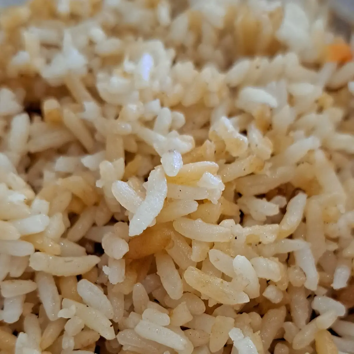 Brown Rice