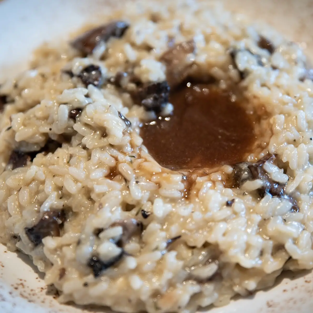 Wild Mushroom Risotto