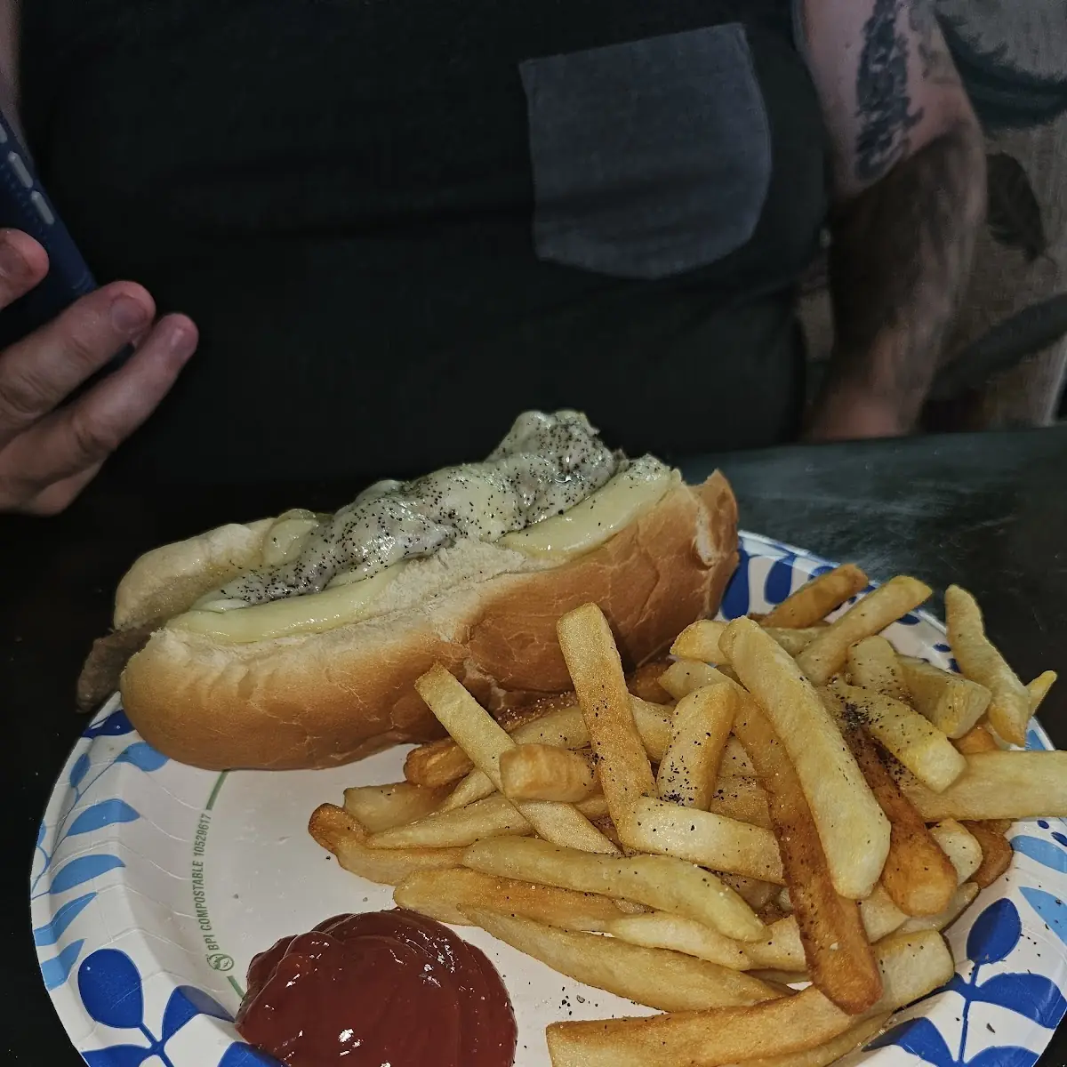 Phillips Cheese Steak and Fries